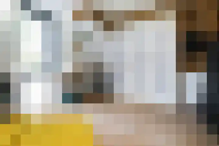 Nieuwpoortslaan 59 Alkmaar thumbnail 30