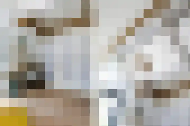 Nieuwpoortslaan 59 Alkmaar thumbnail 31