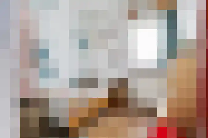 Nieuwpoortslaan 59 Alkmaar thumbnail 33