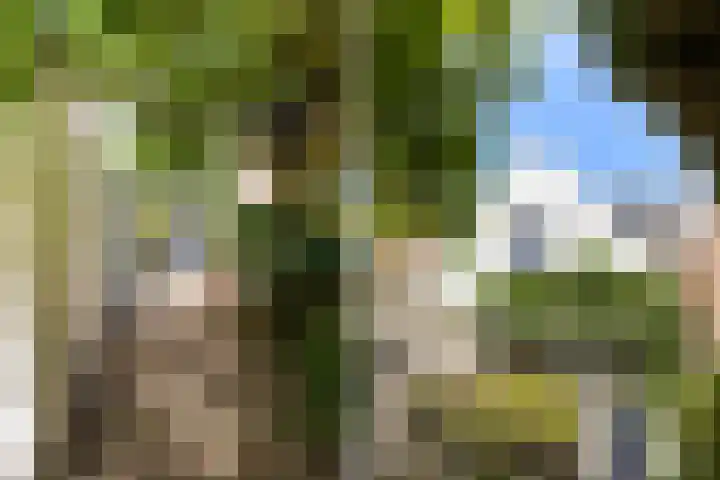 Nieuwpoortslaan 59 Alkmaar thumbnail 34