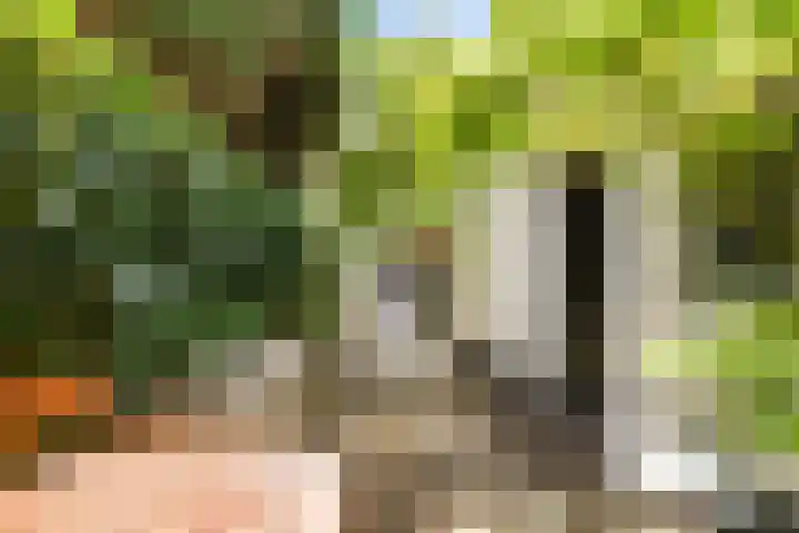 Nieuwpoortslaan 59 Alkmaar thumbnail 35