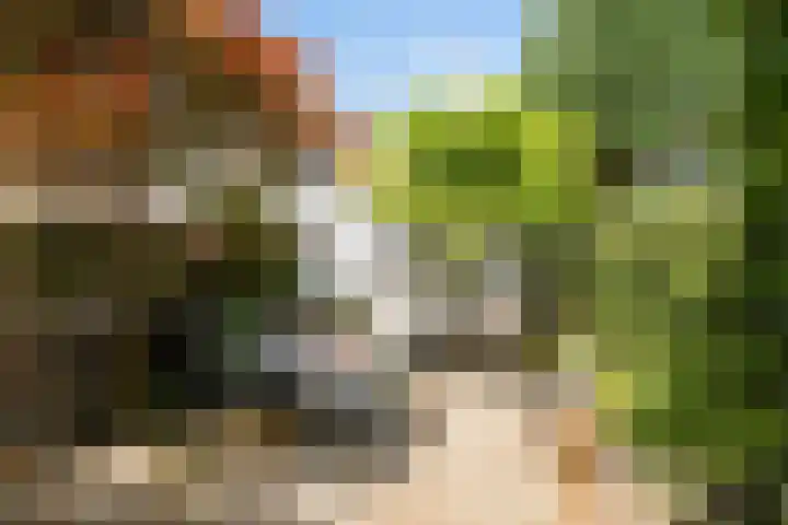 Nieuwpoortslaan 59 Alkmaar thumbnail 36