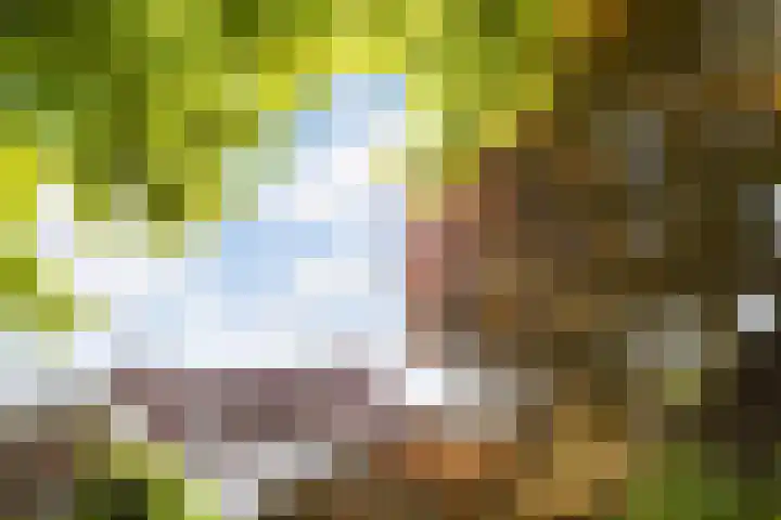Nieuwpoortslaan 59 Alkmaar thumbnail 37