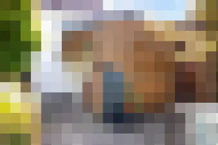 Nieuwpoortslaan 59 Alkmaar thumbnail 38