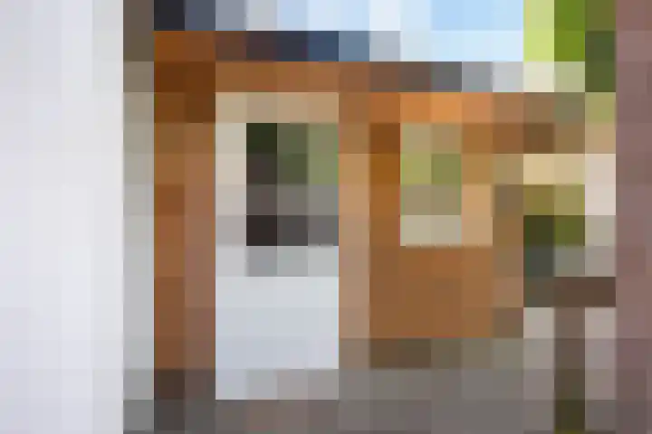 Nieuwpoortslaan 59 Alkmaar thumbnail 39