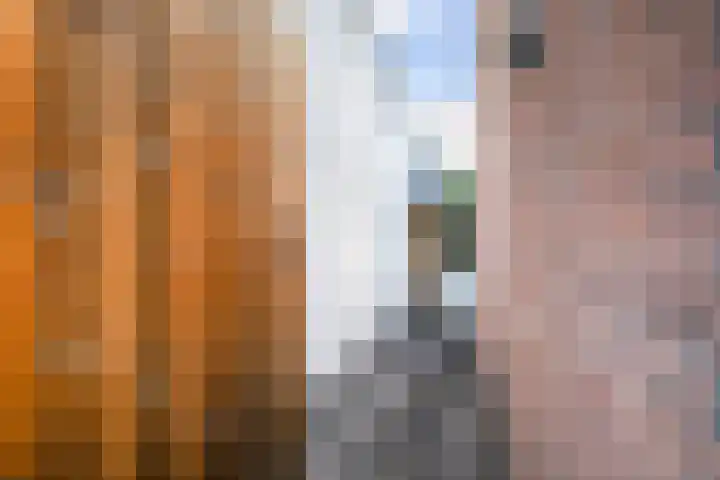 Nieuwpoortslaan 59 Alkmaar thumbnail 40