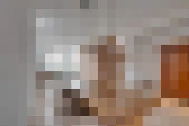 Nieuwpoortslaan 76 Alkmaar thumbnail 13