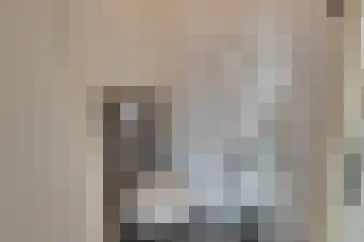 Nieuwpoortslaan 76 Alkmaar thumbnail 26