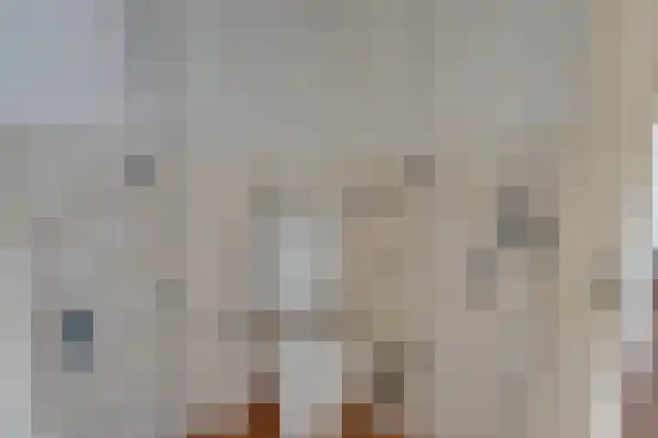 Nieuwpoortslaan 76 Alkmaar thumbnail 43