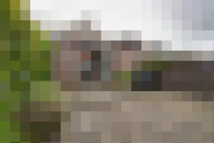 Nieuwpoortslaan 76 Alkmaar thumbnail 47