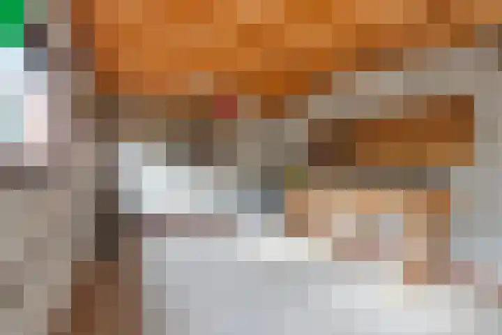 Nieuwpoortslaan 76 Alkmaar thumbnail 49