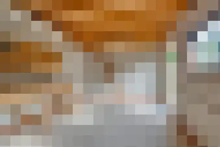 Nieuwpoortslaan 76 Alkmaar thumbnail 50