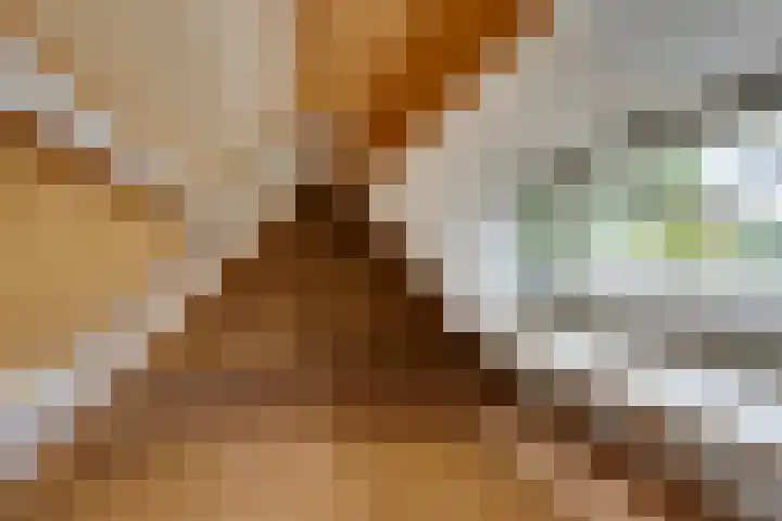 Nieuwpoortslaan 76 Alkmaar thumbnail 51