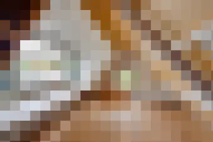 Nieuwpoortslaan 76 Alkmaar thumbnail 52