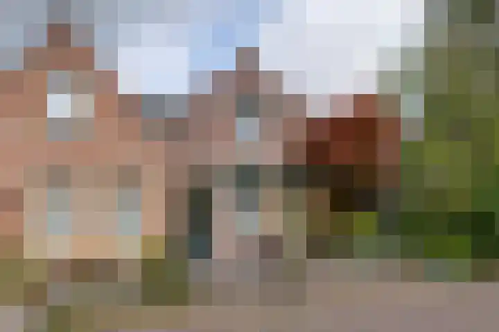 Nieuwpoortslaan 76 Alkmaar thumbnail 53