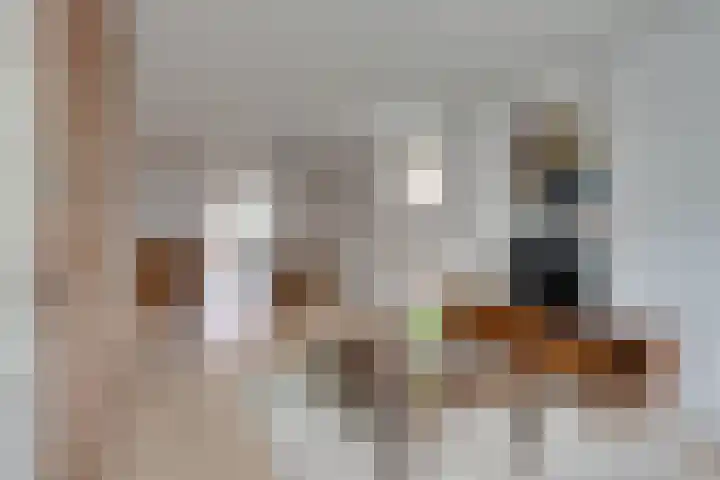 Nieuwpoortslaan 76 Alkmaar thumbnail 8