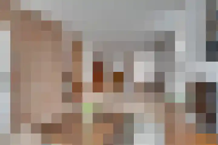 Nieuwpoortslaan 76 Alkmaar thumbnail 9