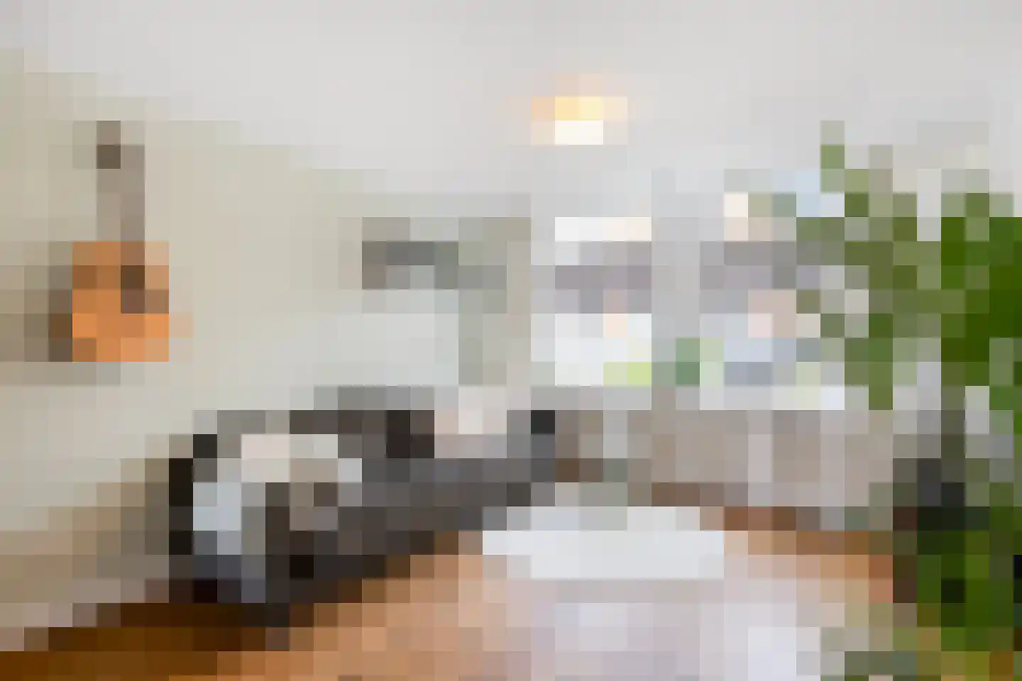Nieuwpoortslaan 78 Alkmaar thumbnail 13