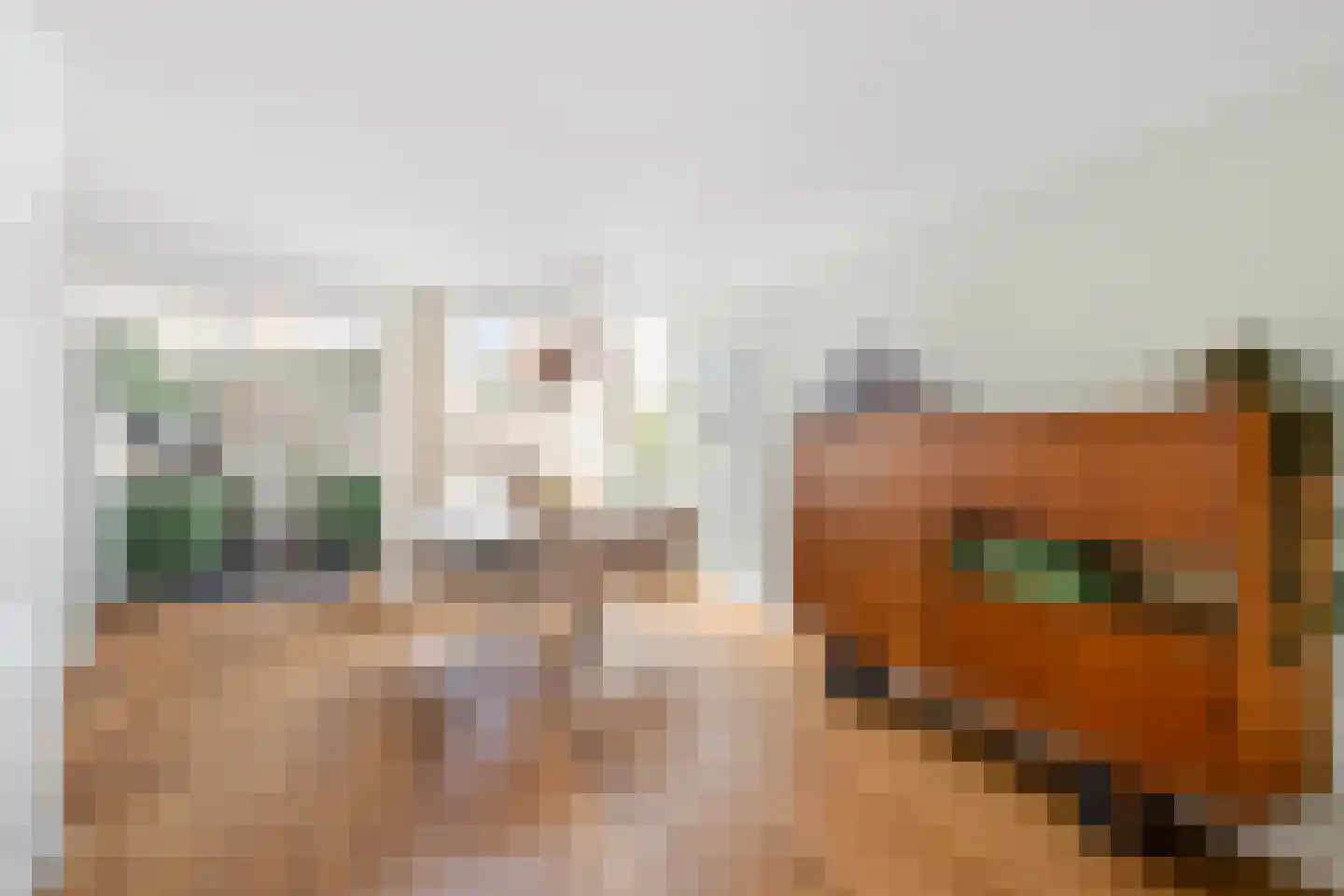 Nieuwpoortslaan 78 Alkmaar thumbnail 16