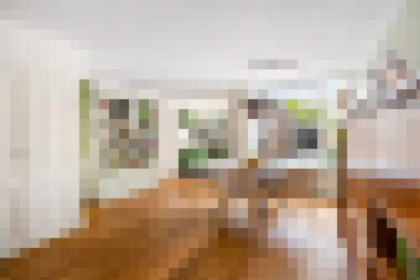 Nieuwpoortslaan 78 Alkmaar thumbnail 17