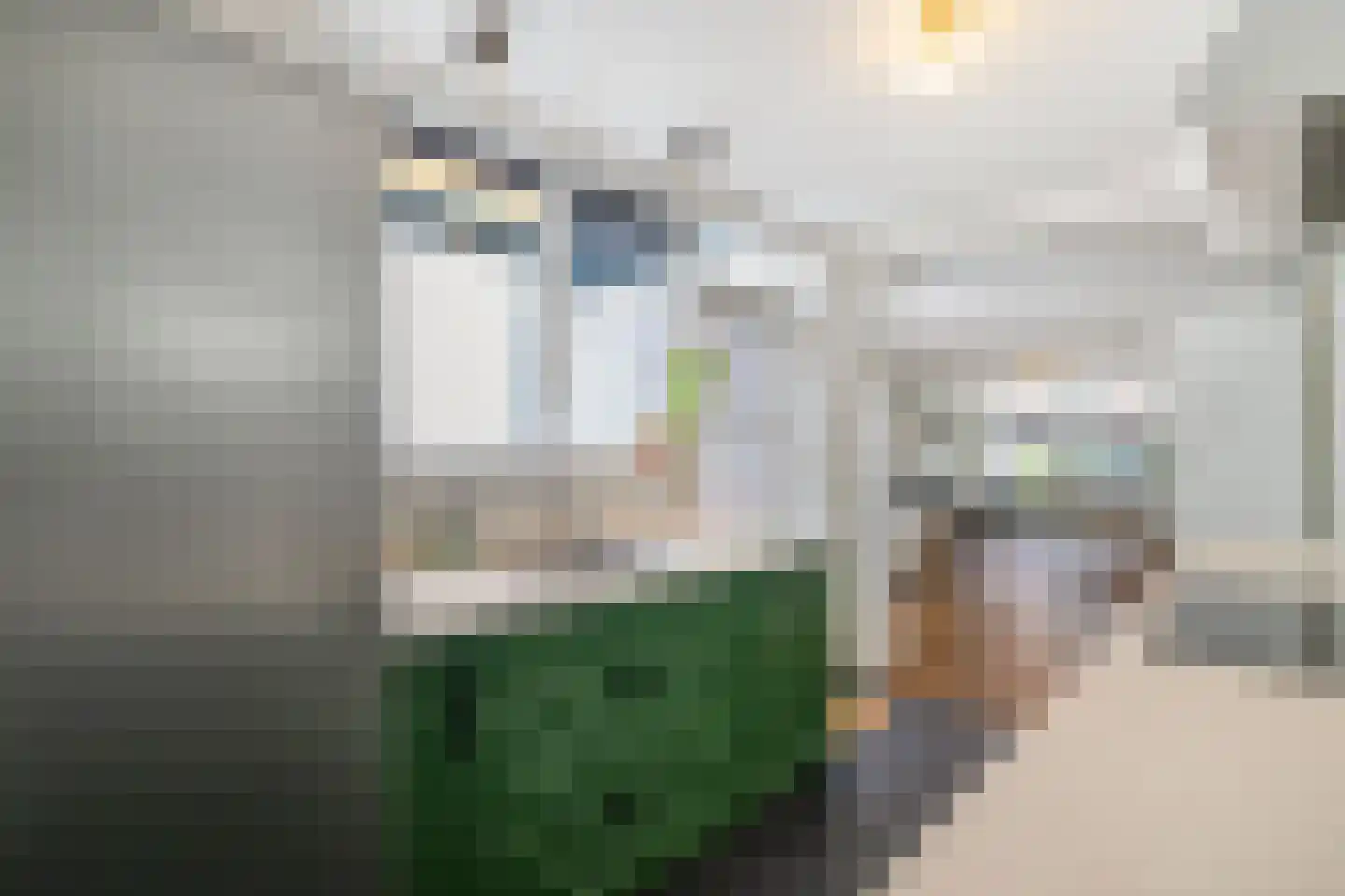 Nieuwpoortslaan 78 Alkmaar thumbnail 25