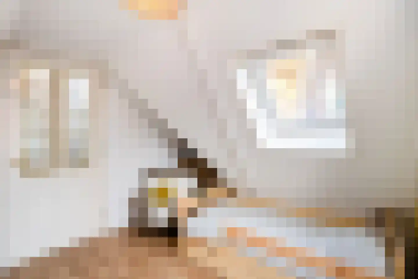 Nieuwpoortslaan 78 Alkmaar thumbnail 41