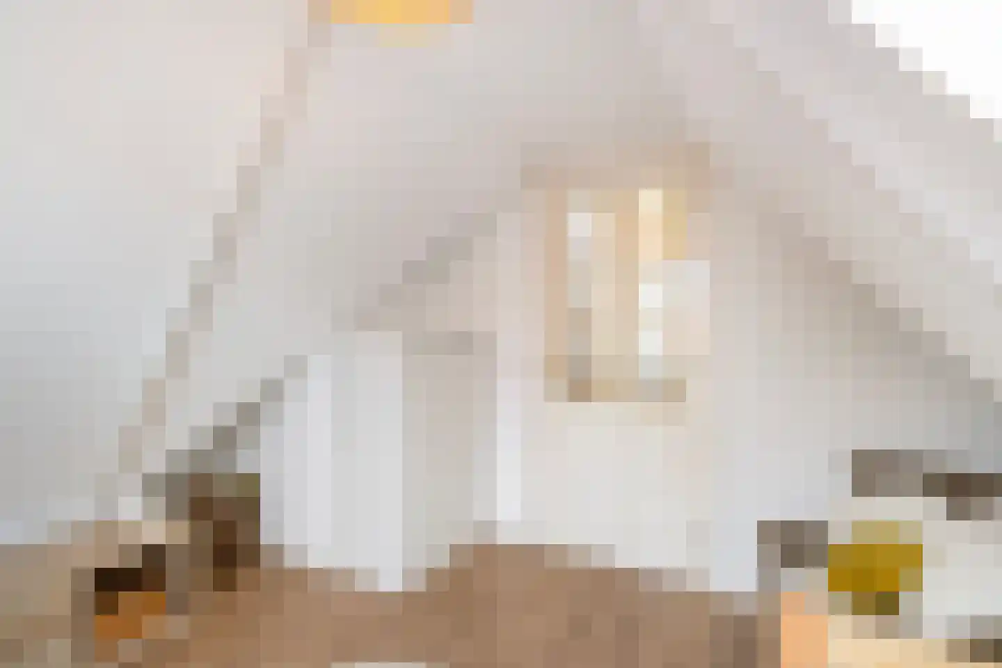 Nieuwpoortslaan 78 Alkmaar thumbnail 42