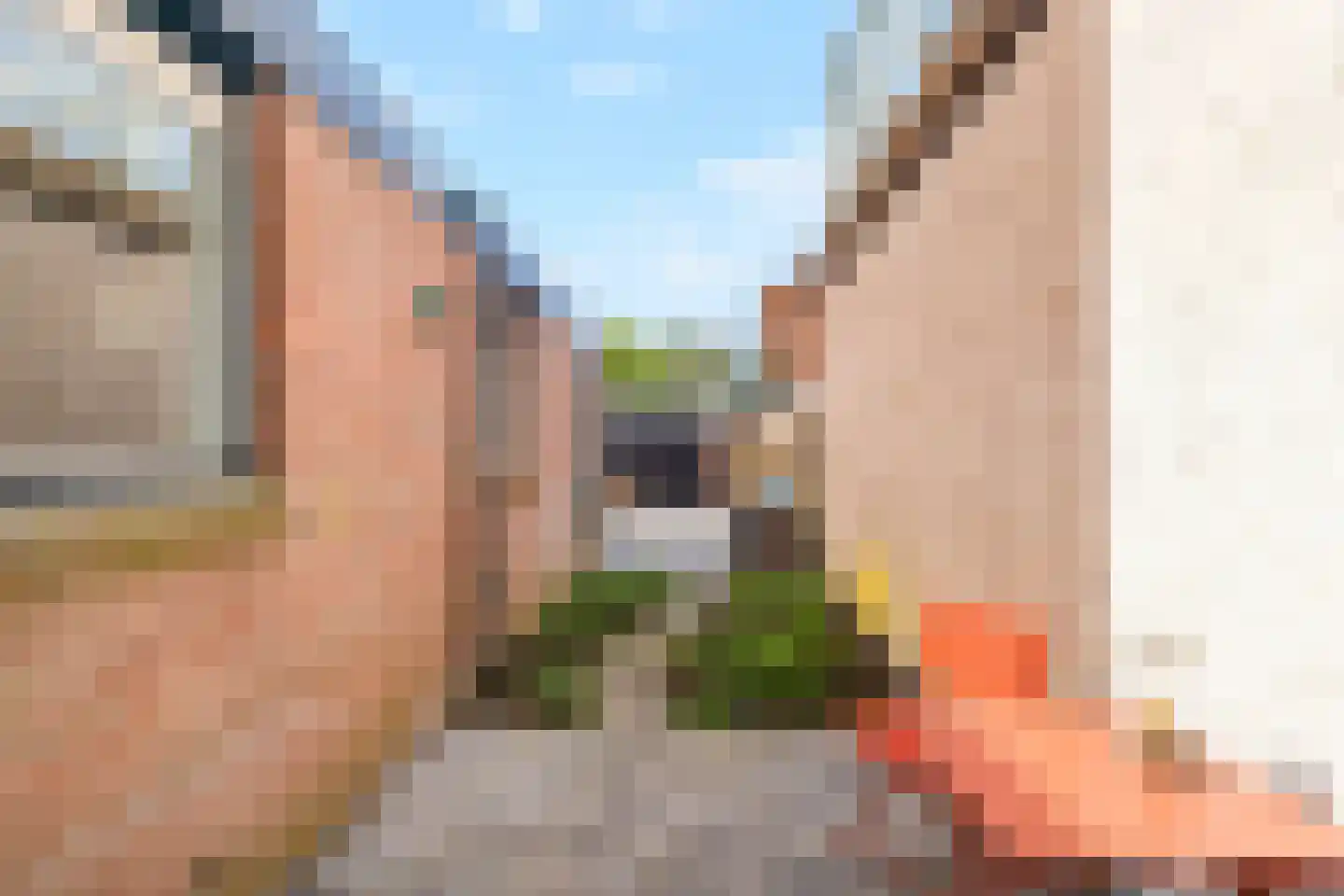 Nieuwpoortslaan 78 Alkmaar thumbnail 43