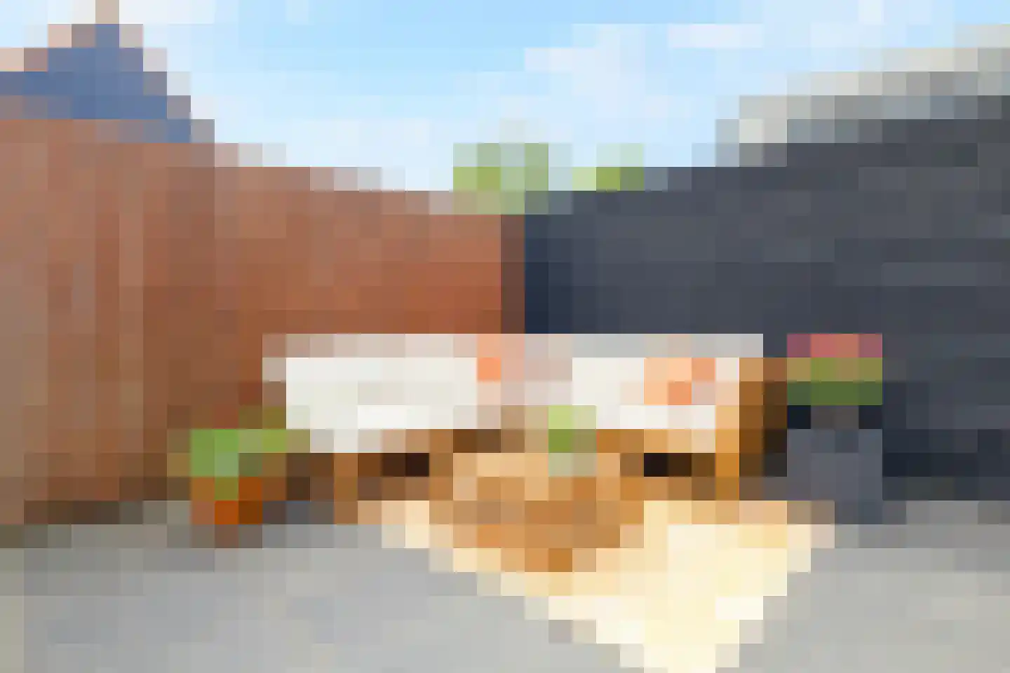 Nieuwpoortslaan 78 Alkmaar thumbnail 48