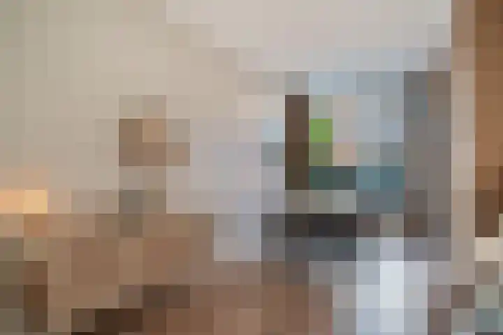 Nieuwpoortslaan 99 Alkmaar thumbnail 13