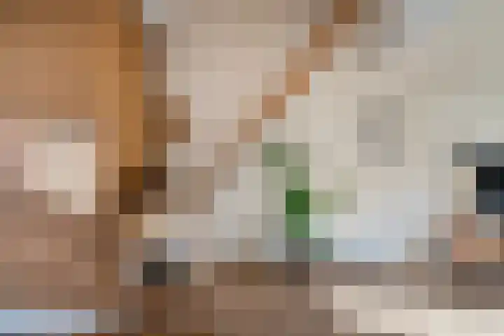 Nieuwpoortslaan 99 Alkmaar thumbnail 15