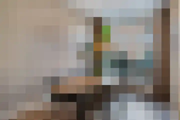 Nieuwpoortslaan 99 Alkmaar thumbnail 16