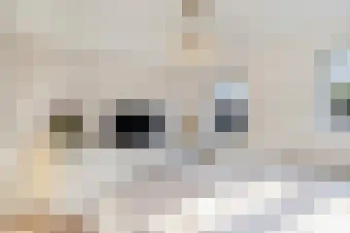 Nieuwpoortslaan 99 Alkmaar thumbnail 32