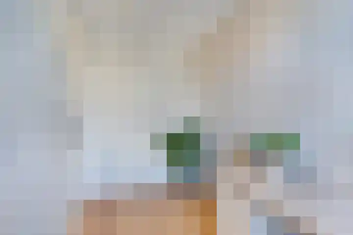 Nieuwpoortslaan 99 Alkmaar thumbnail 37