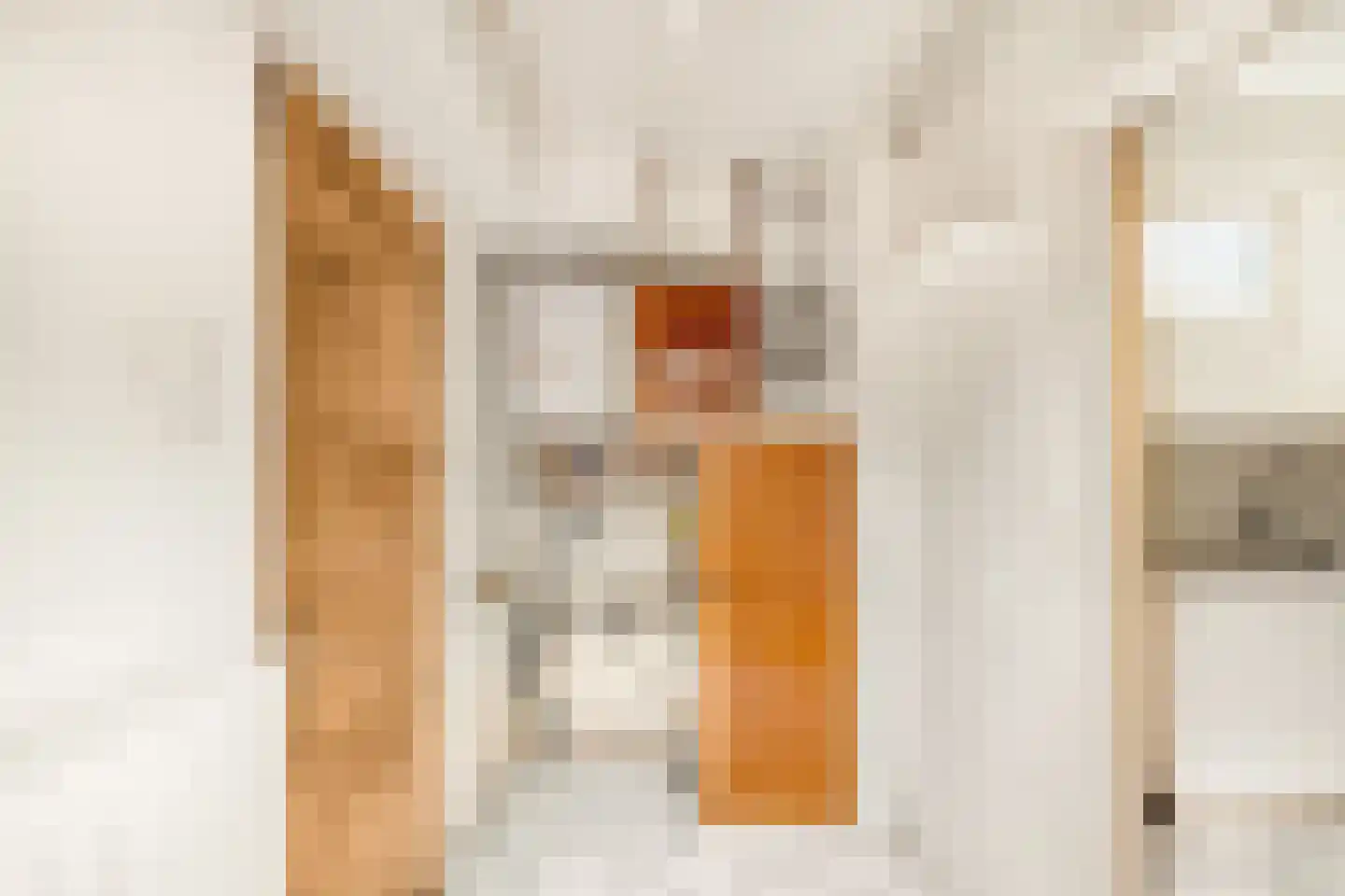 Nieuwpoortssteeg 2 Alkmaar thumbnail 12