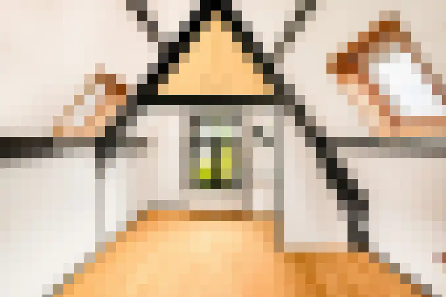Nieuwpoortssteeg 2 Alkmaar thumbnail 17