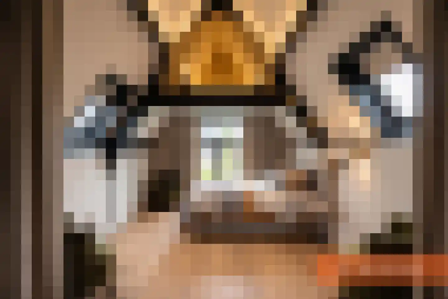 Nieuwpoortssteeg 2 Alkmaar thumbnail 18