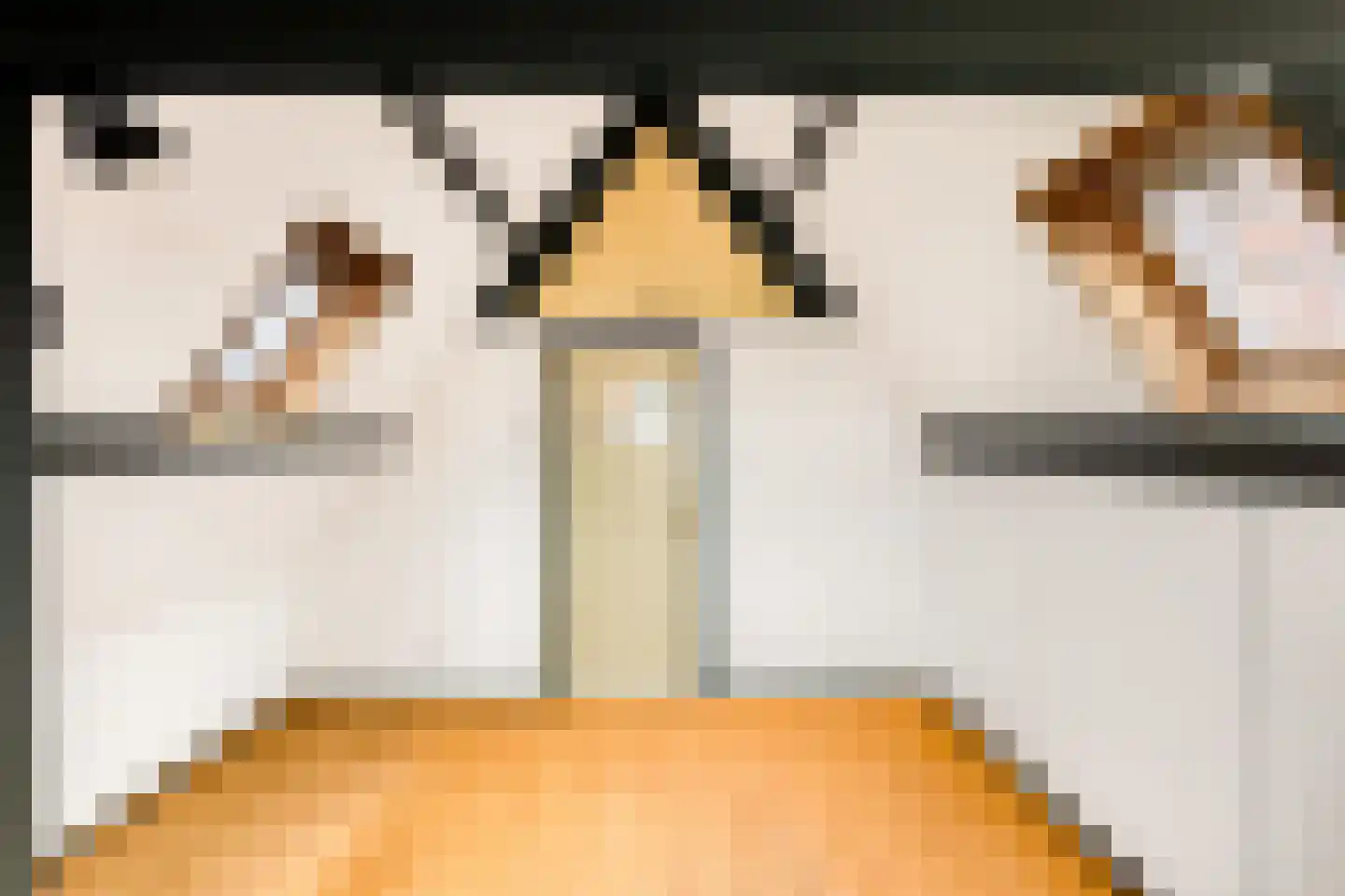 Nieuwpoortssteeg 2 Alkmaar thumbnail 19