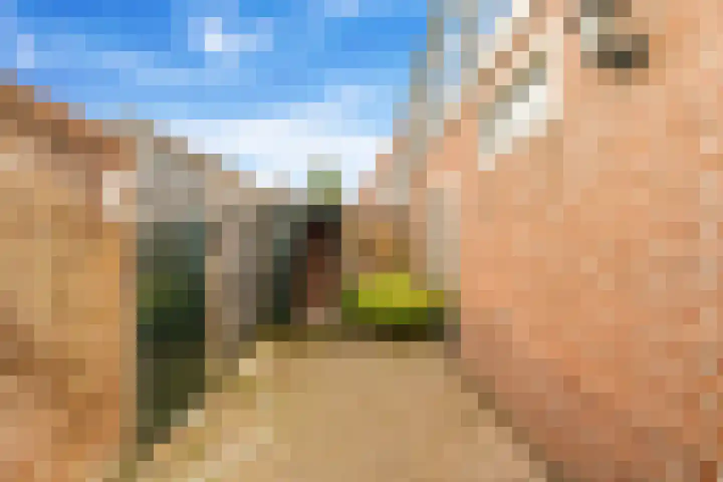 Nieuwpoortssteeg 2 Alkmaar thumbnail 26