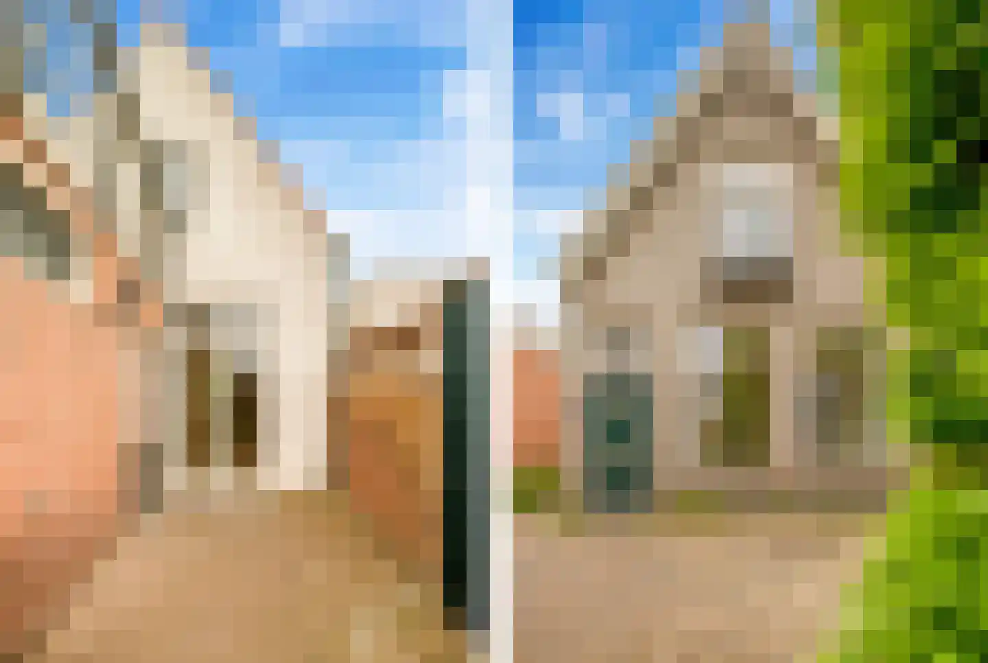 Nieuwpoortssteeg 2 Alkmaar thumbnail 30