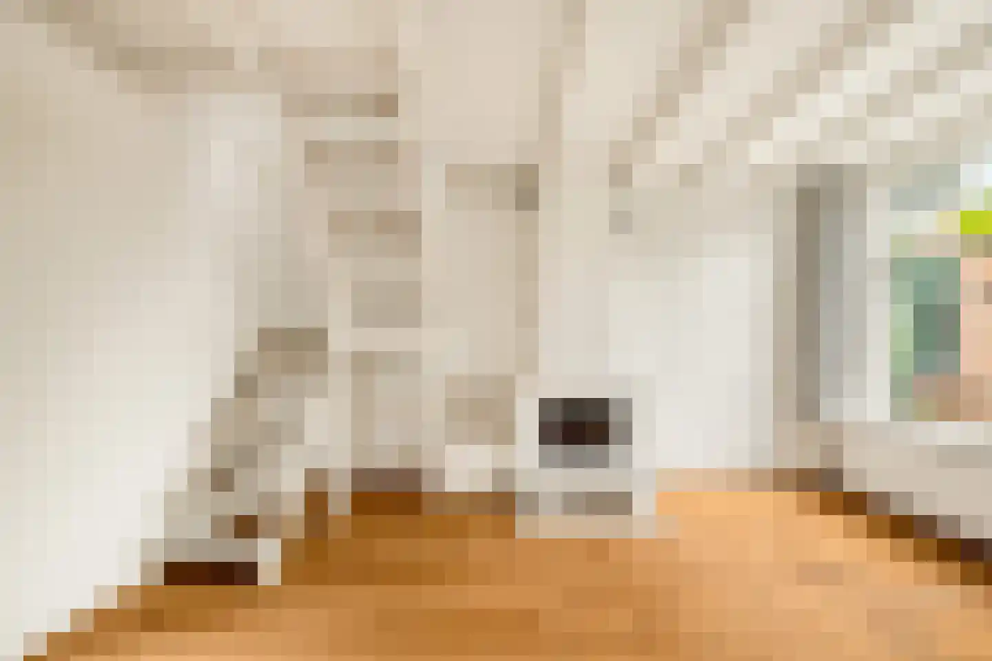 Nieuwpoortssteeg 2 Alkmaar thumbnail 5