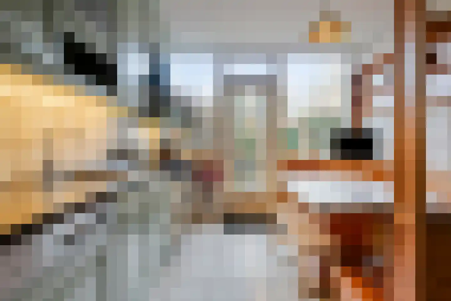 Nieuwpoortstraat 14 Eindhoven thumbnail 20