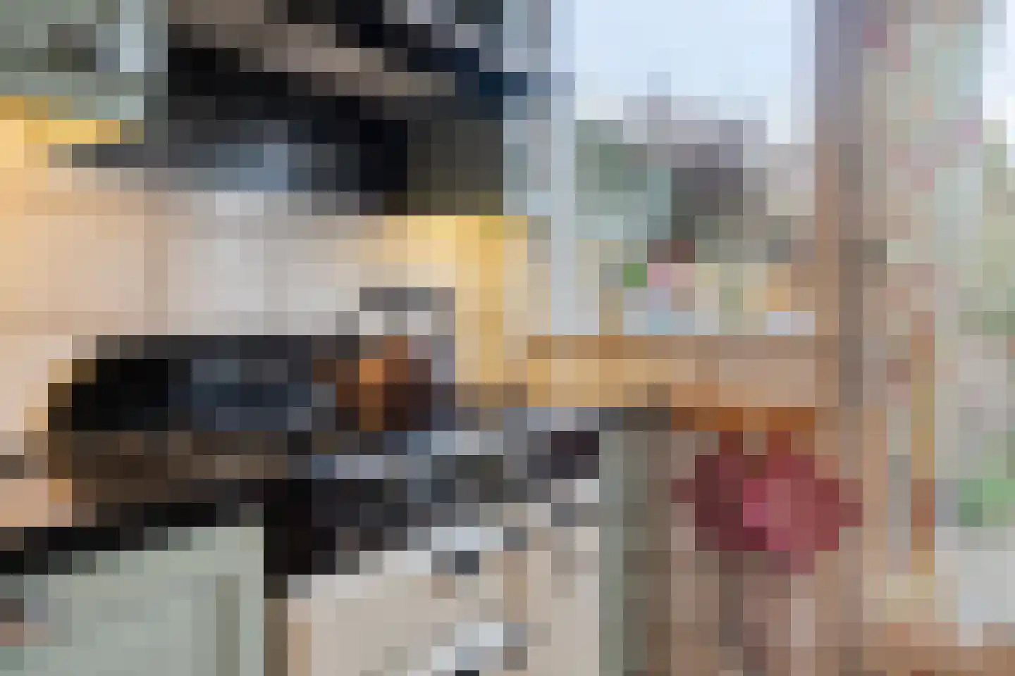 Nieuwpoortstraat 14 Eindhoven thumbnail 22