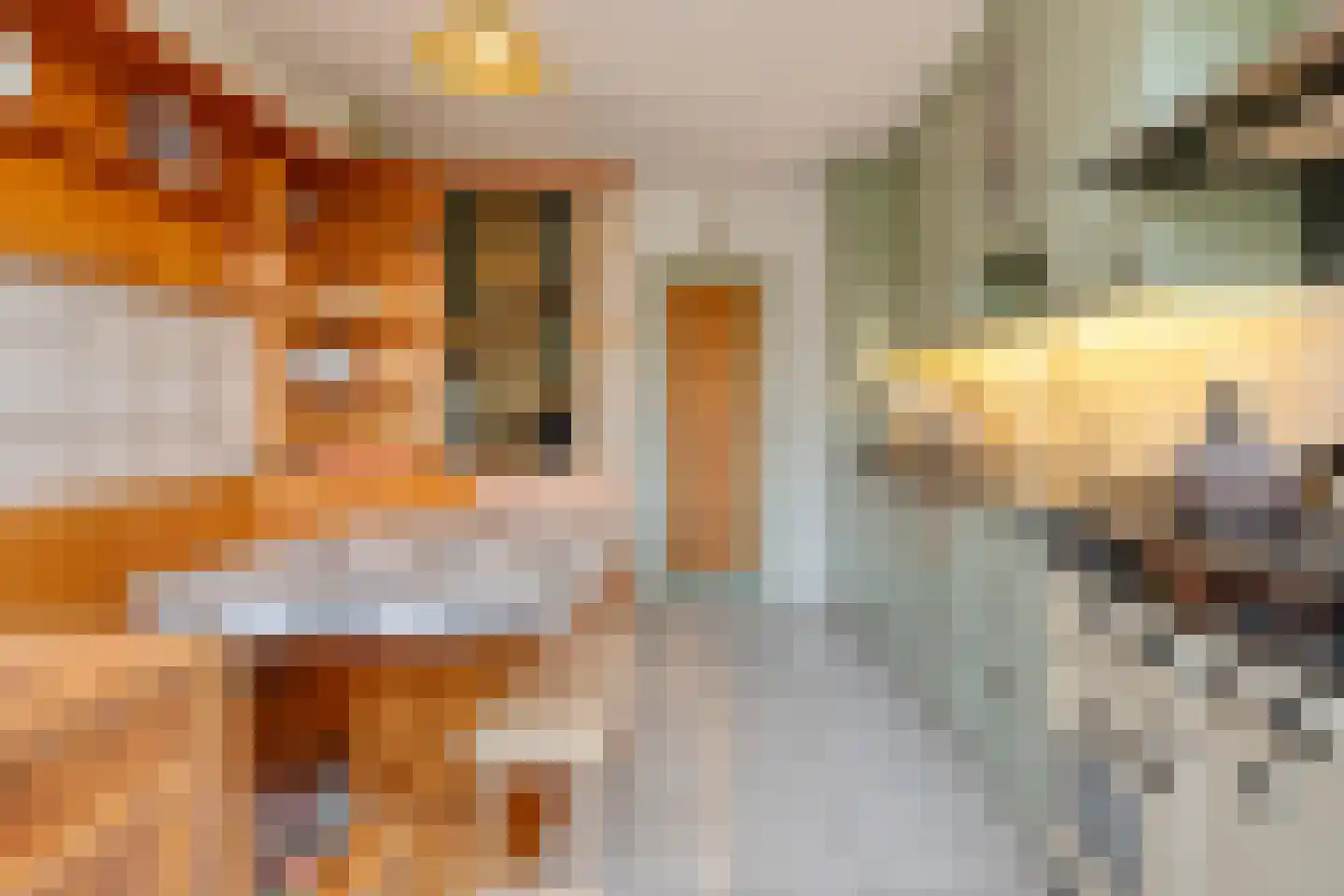 Nieuwpoortstraat 14 Eindhoven thumbnail 23