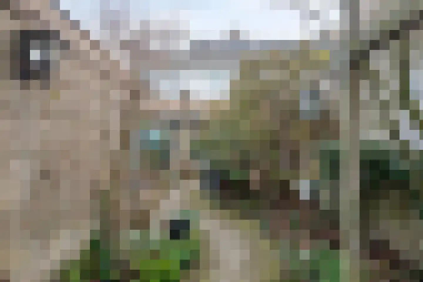 Nieuwpoortstraat 14 Eindhoven thumbnail 4