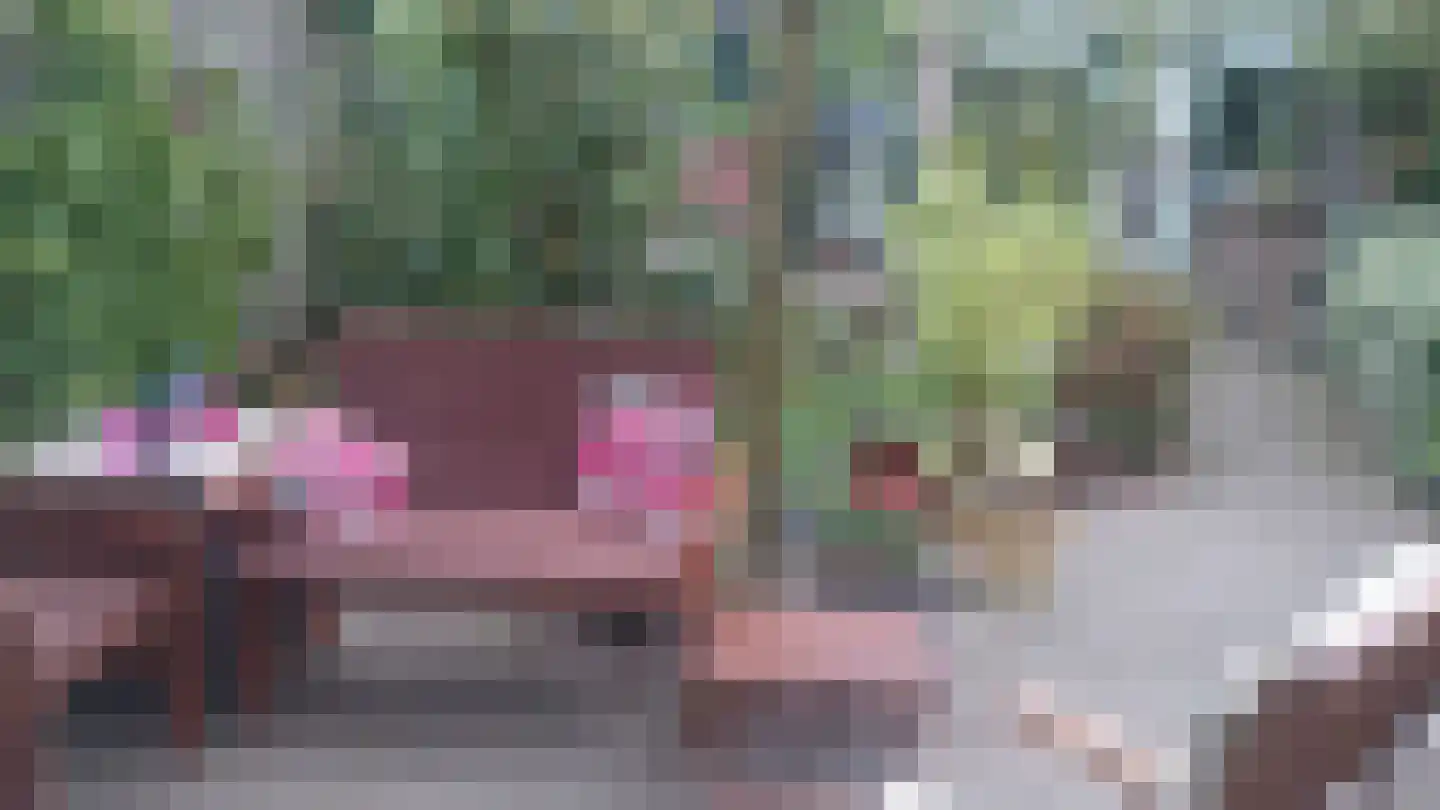 Nieuwpoortstraat 14 Eindhoven thumbnail 49