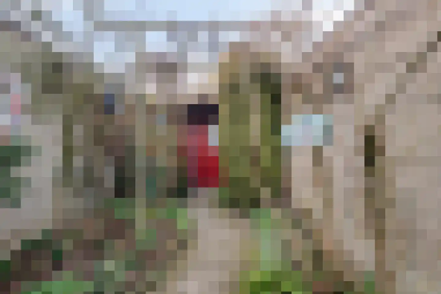 Nieuwpoortstraat 14 Eindhoven thumbnail 53