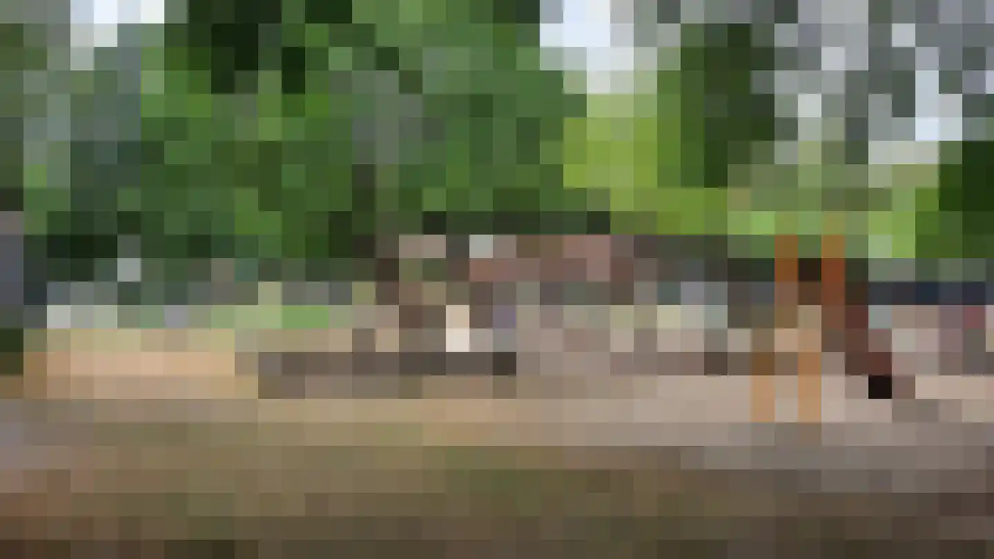 Nieuwpoortstraat 14 Eindhoven thumbnail 55