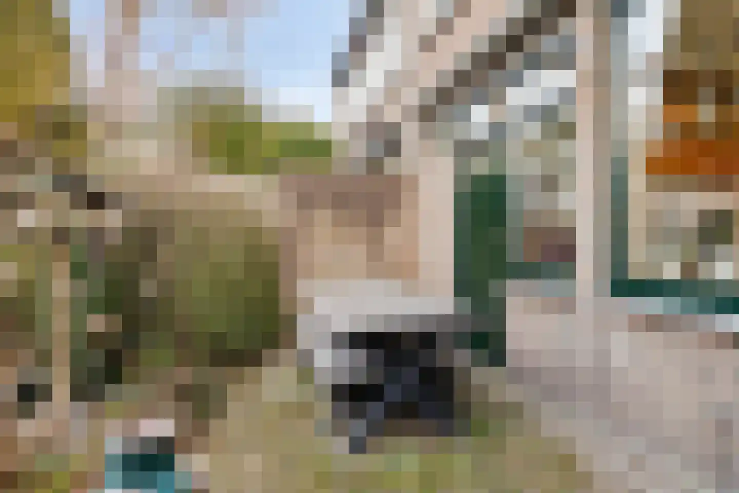 Nieuwpoortstraat 14 Eindhoven thumbnail 56