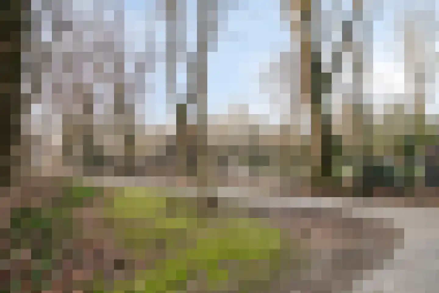 Nieuwpoortstraat 14 Eindhoven thumbnail 59